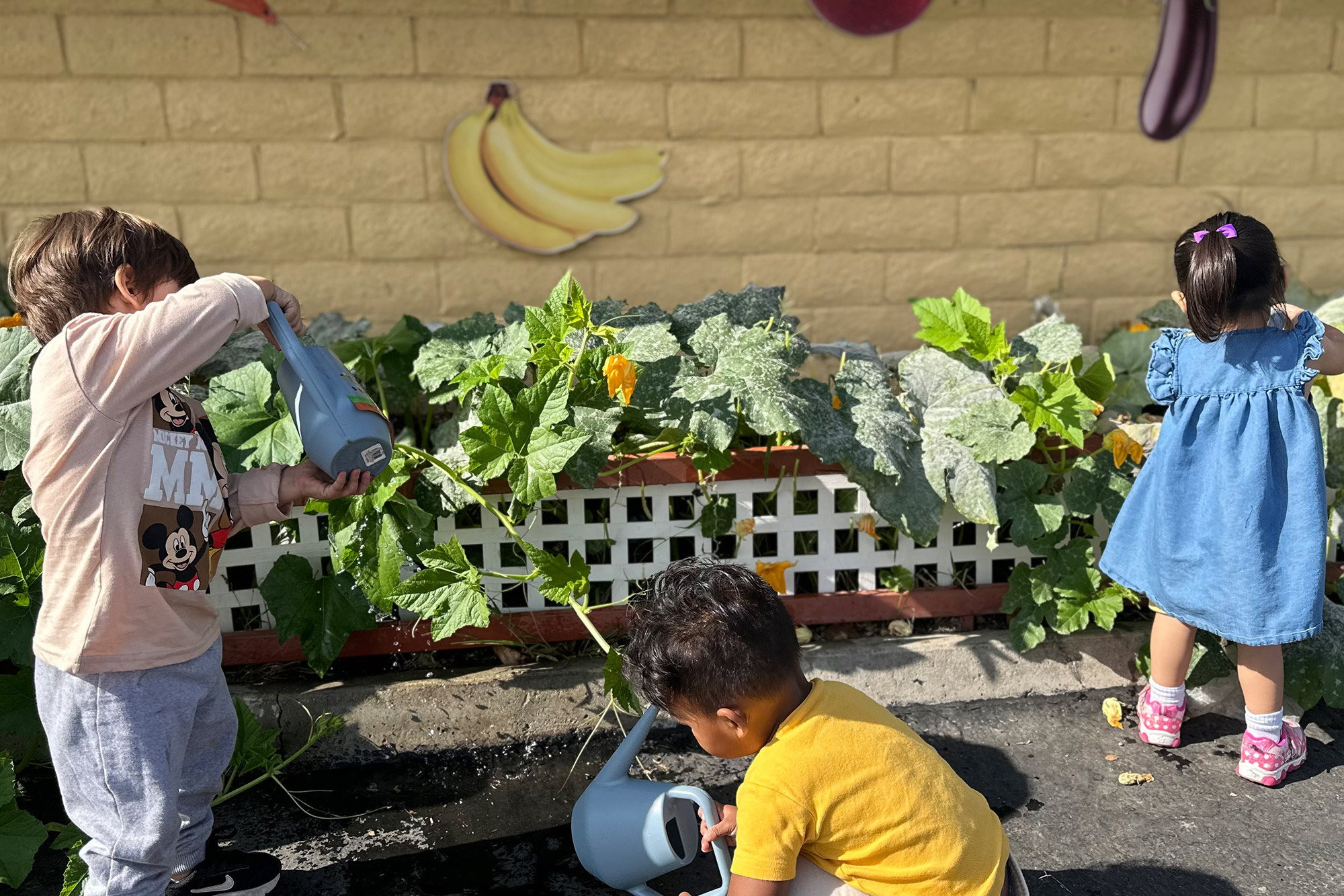 Best preschool in Corona